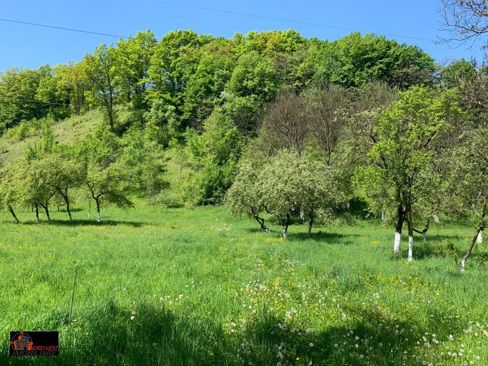 Farmecul Tradiției: Casă Autentică cu Moară și Parâu în Proprietate