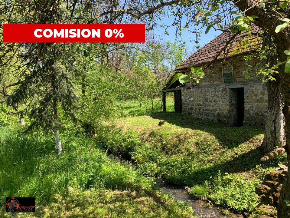 Farmecul Tradiției: Casă Autentică cu Moară și Parâu în Proprietate