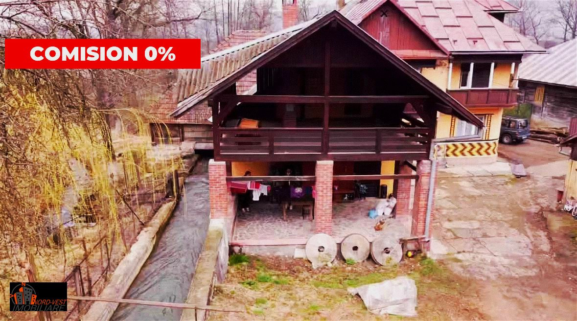 Farmecul Tradiției: Casă Autentică cu Moară și Parâu în Proprietate