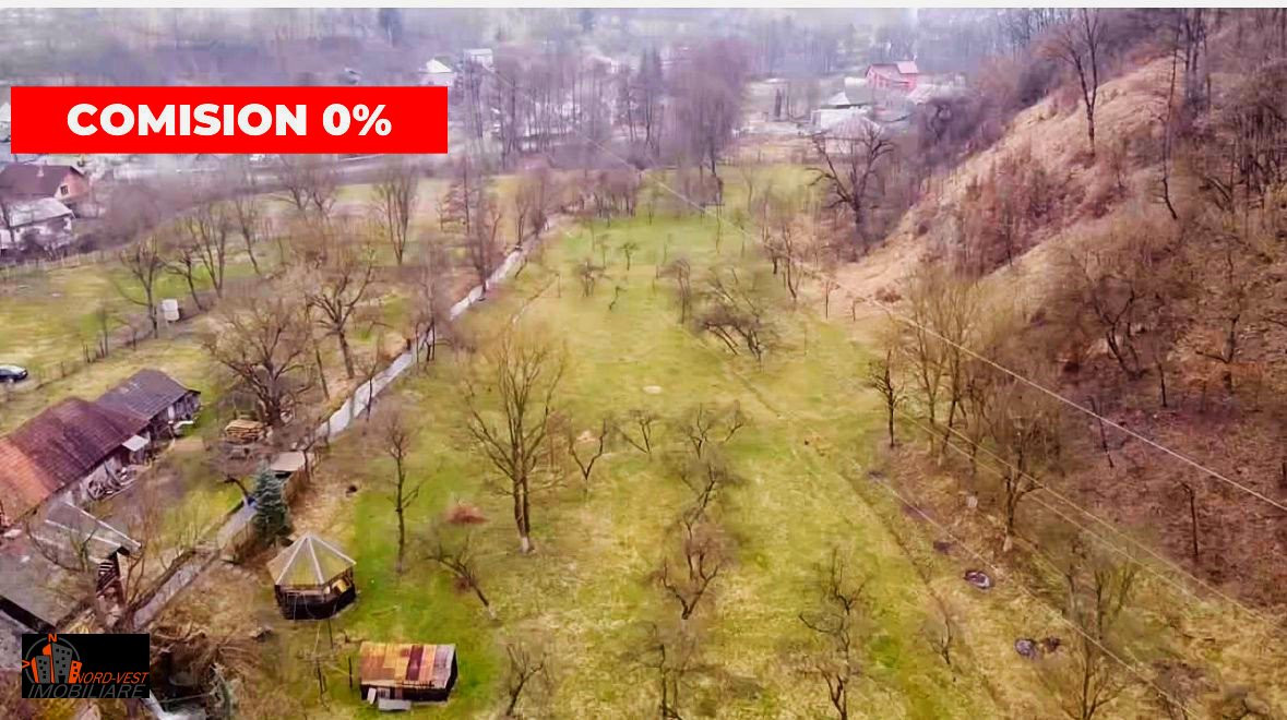 Farmecul Tradiției: Casă Autentică cu Moară și Parâu în Proprietate