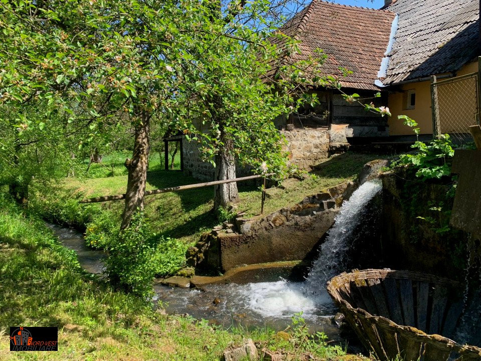 Farmecul Tradiției: Casă Autentică cu Moară și Parâu în Proprietate