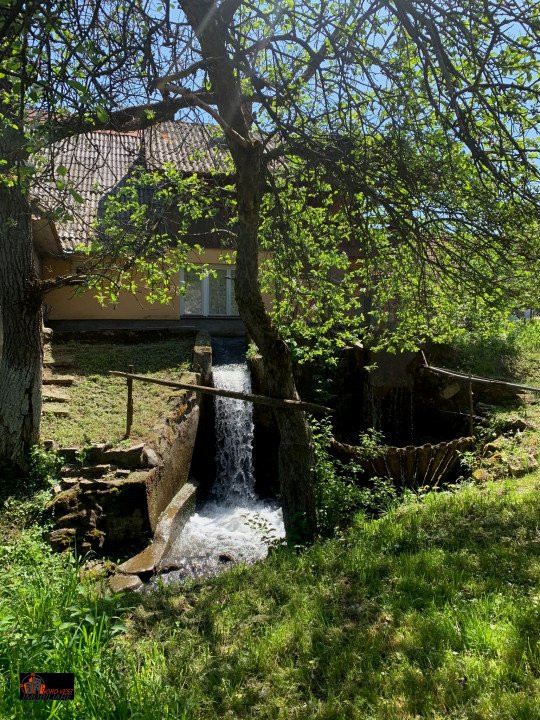 Farmecul Tradiției: Casă Autentică cu Moară și Parâu în Proprietate