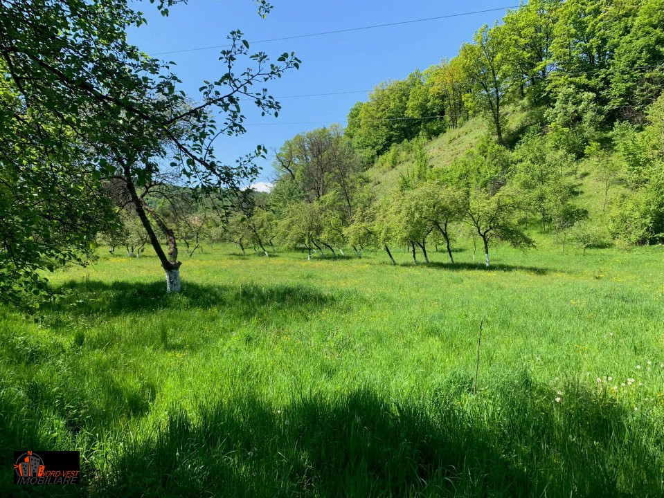 Farmecul Tradiției: Casă Autentică cu Moară și Parâu în Proprietate