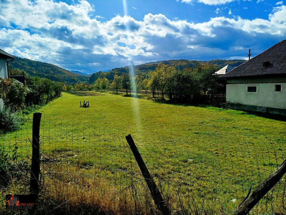 🏡 Oportunitate de Teren Intravilan pe Drumul Principal în Barsana 