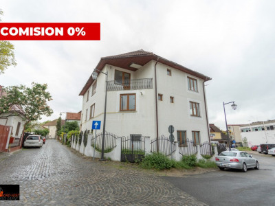 Vila centru vechi cu 3 CF-uri: 3 ateliere auto, cabinet medical, apartament