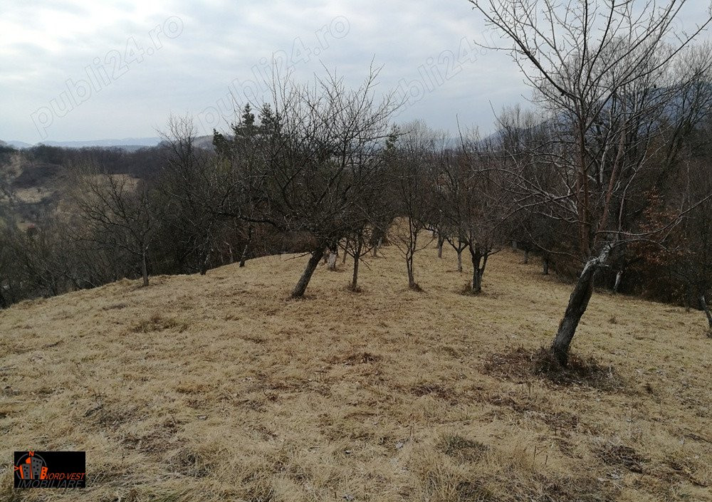 Anunț de Vânzare Teren Extravilan - Bârsana, Maramureș