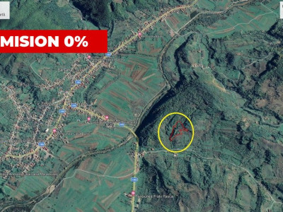 Anunț de Vânzare Teren Extravilan - Bârsana, Maramureș