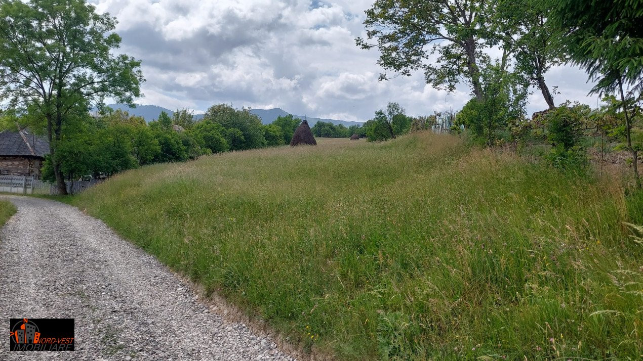 🏡 Teren cu Cabana lângă Proprietatea Regelui Charles în Breb