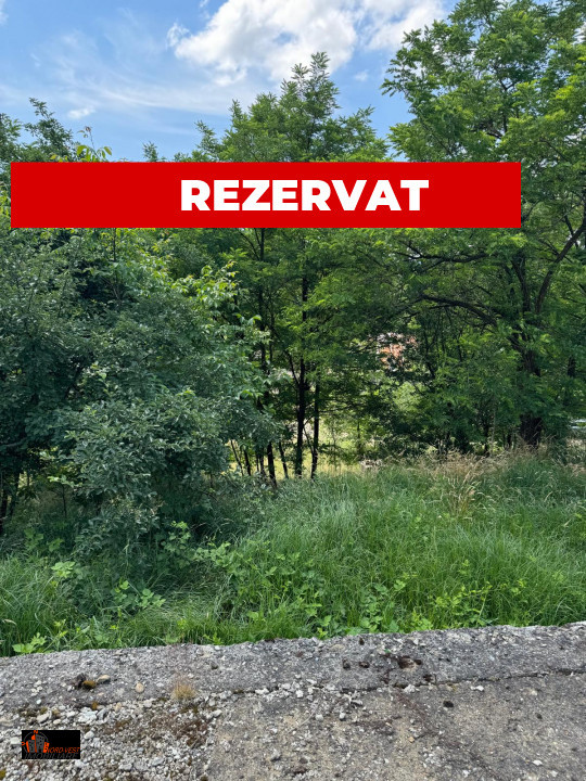 📍 Teren Intravilan 1750 mp pe Strada Făget 📍