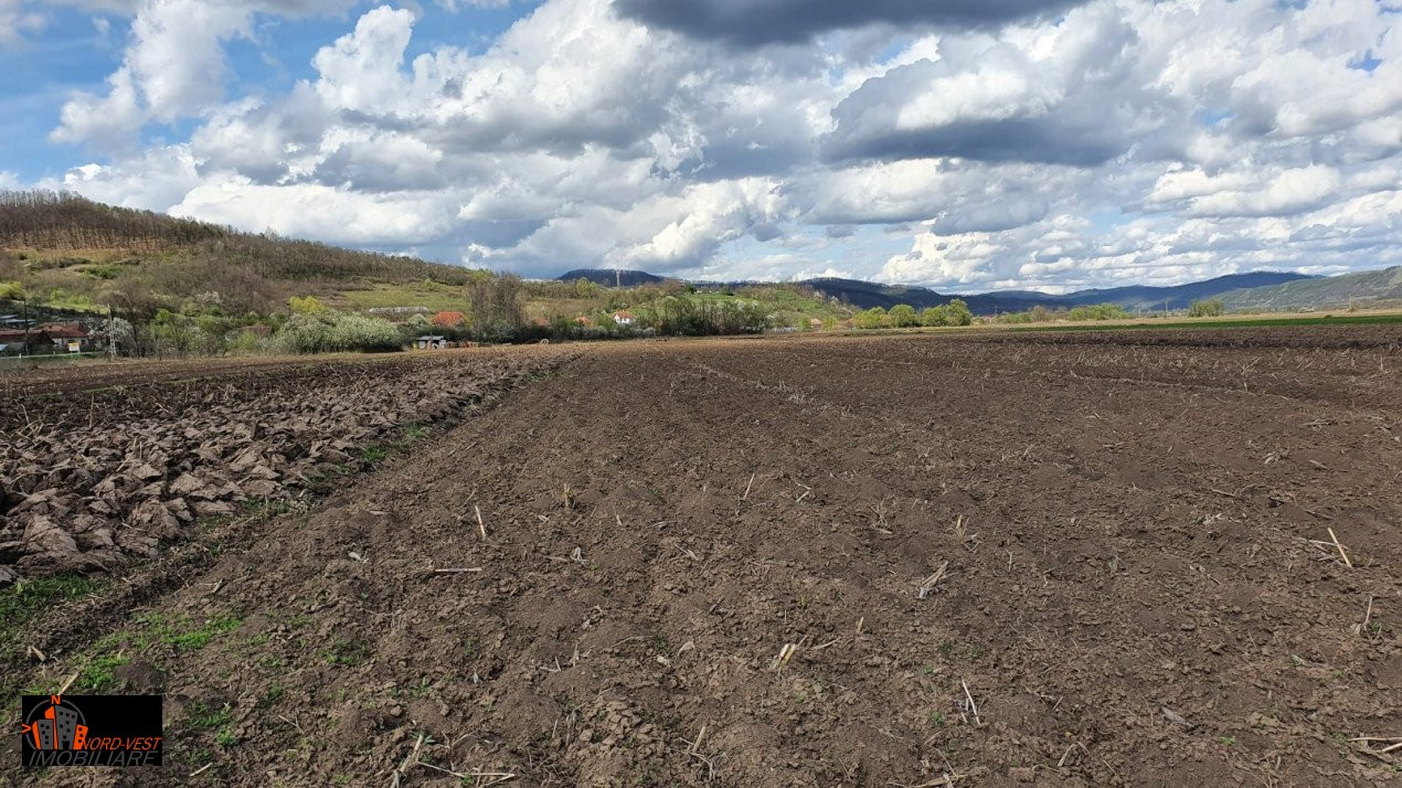 Teren 4300 mp in apropierea nodului de autostrada Zimbor