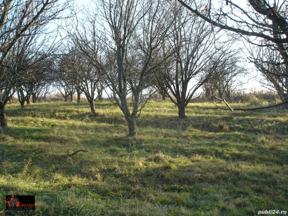 Teren extravilan - 6 900 mp, pe platoul din vîrful Livezii lîngă str.Crasnei