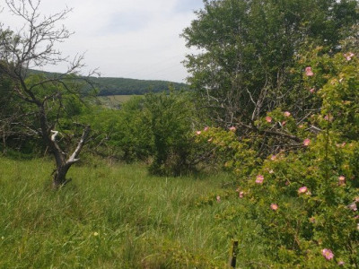 Teren extravilan de vânzare 1 000 mp - lângă str.Crasnei, Sălaj