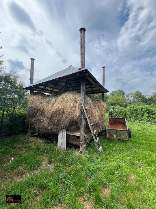 🌟🏡 Proprietate Bine Poziționată în Comuna Vadu Izei, pe Strada Sugău 🌟🏡