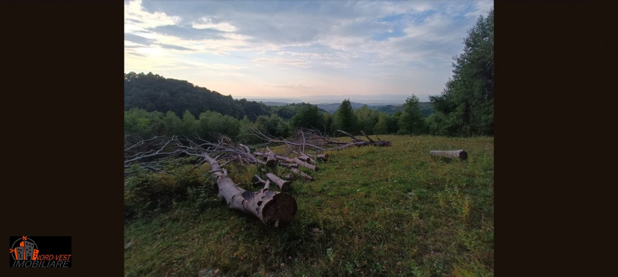 Oportunitate unică! Casă tradițională cu 70 de ari teren, panoramă superbă spre 