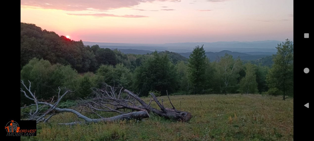 Oportunitate unică! Casă tradițională cu 70 de ari teren, panoramă superbă spre 