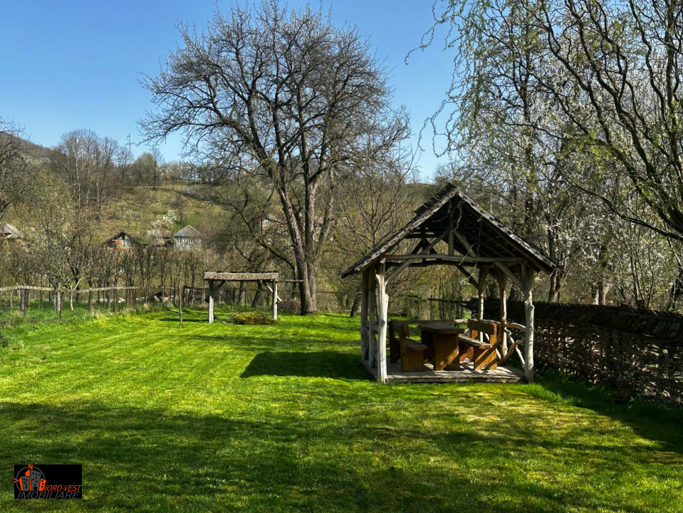 🌲 Casă de vânzare în Bârsana – o zonă liniștită cu priveliște de poveste! 🌄