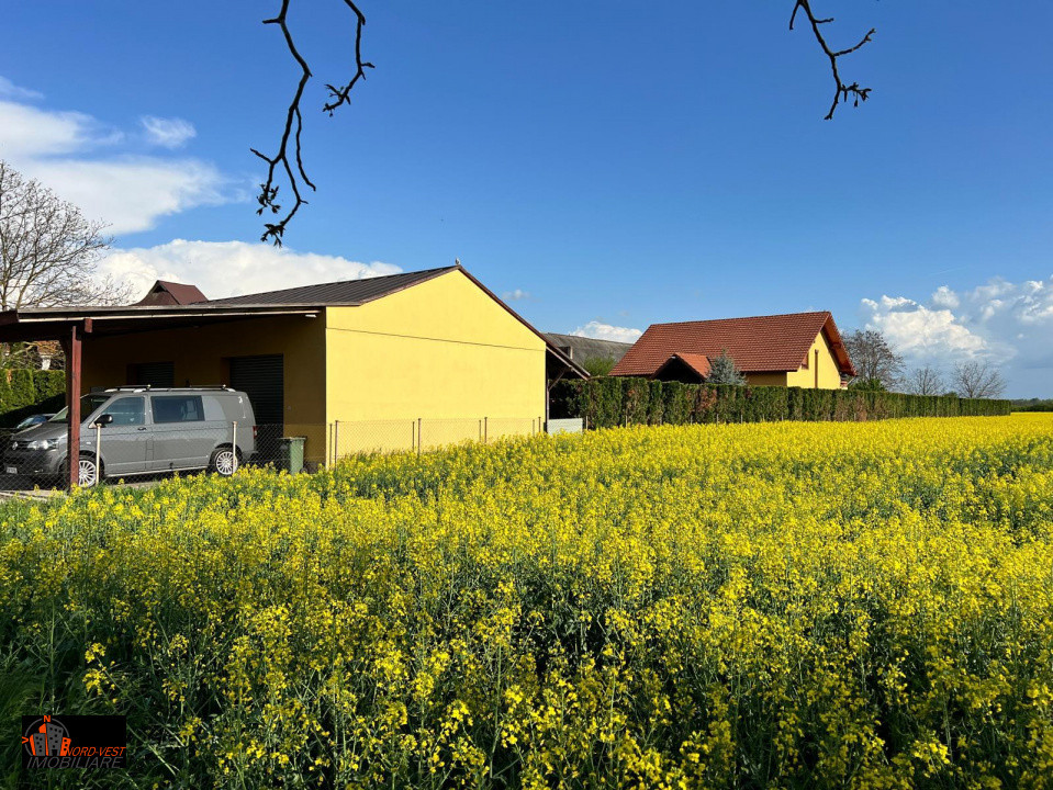 Casa cu etaj Odoreu, cu gradina spatioasa si finisaje premium!!