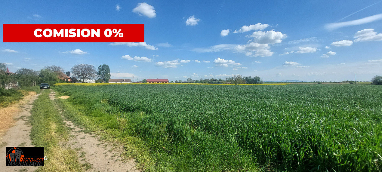 Teren Intravilan de Vânzare – 7.462 mp, Front 46 m – Centru Odoreu, Satu Mare