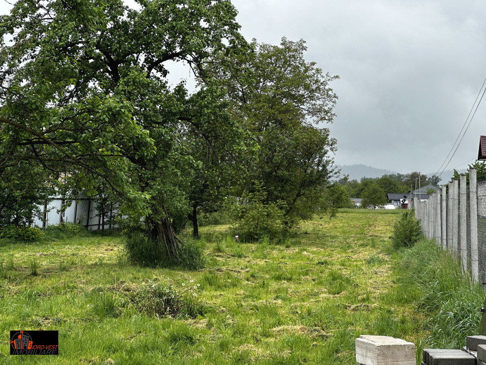 🏡 Casă Modernă cu Teren de 4.924 mp – Sighetu Marmației
