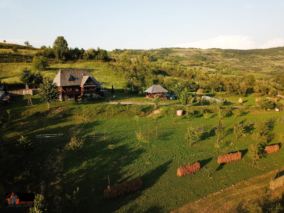🌲🌄Căsuță Tradițională din Lemn + 1 Hectar Teren în Inima Maramureșului 