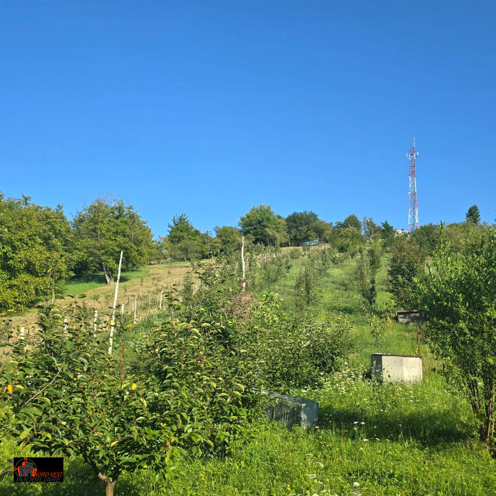🏡 Casă de vânzare în Sighetu Marmației – Zona Iapa 